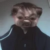 jax.tribble