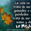 sonerito19