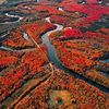 newmancanada