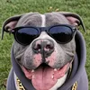 zeustheking24
