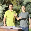 ahmedhawee
