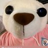 etz_ny30