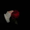 asdfg124543