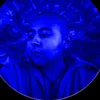 simulus.exp