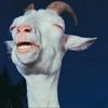 goatpromote