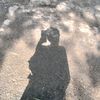 chueyeikhlwar5925