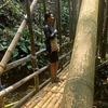 ujang_bollay