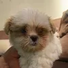 baby_yumiko