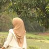 zlina04