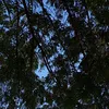 marideteoliveira5