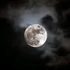 wolfsssbane