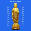 Tịnh Hải A DI ĐÀ PHẬT