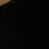 ineschh_
