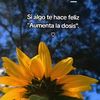 🌻💜✨
