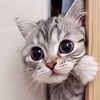 charly._.._
