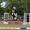avaequestrian547