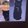 lachlf_07