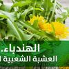 شاي الهندباء