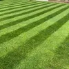 savagegardens_