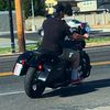 pitterpatter12