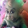 zoowemama84000129