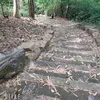 trieutu_123