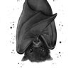 nocturnalbabes