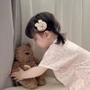 belloveedsy