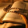 fatehheaven856