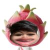 Pu Dy