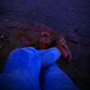 _limon_800