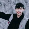hamayoun187