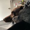 usernam83694