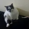 kakakjdxkm
