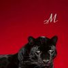 _xilix26