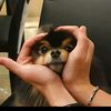 fifiuwu4
