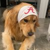 denvergoldenboy