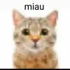 llabuuu