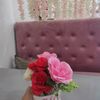 user5014592061244