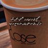 msk.lo4