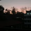 papalukas19