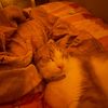 saida_r.a