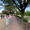 donkihote6868