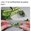 marlrg12