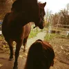 coffee.pony