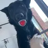 beuhtech