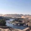 ود الهادي 77