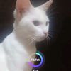 titirams76