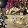 hozanmarry_332