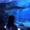 maddy_kramsvogel